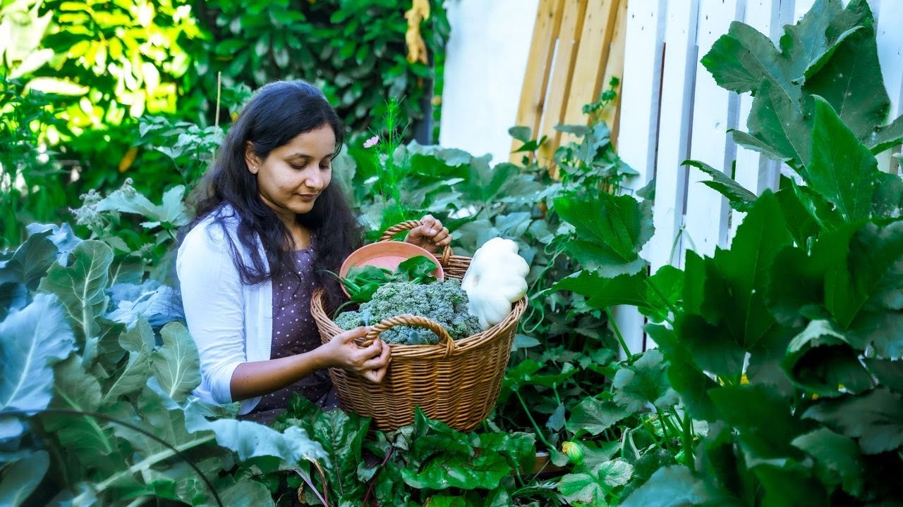 Transforming a 4 m2 Land to an Abundant Vegetable Garden