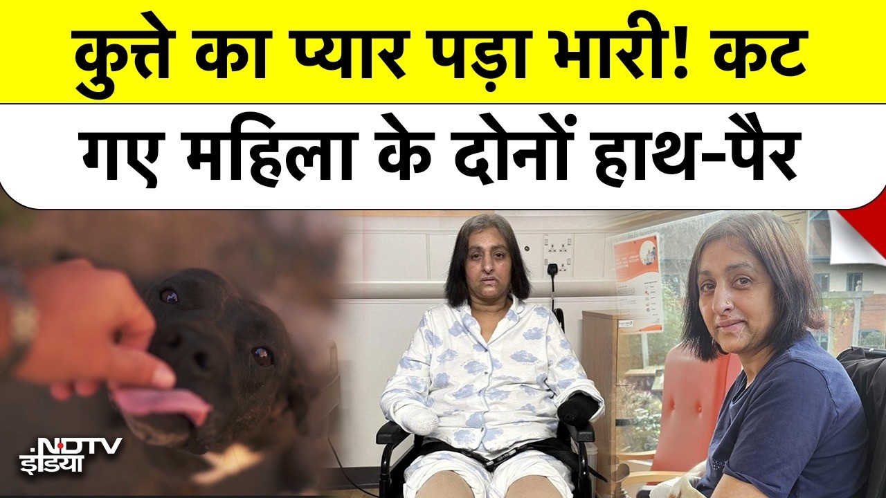 Sepsis Disease: पालतू Dog के चाटने से कोमा में गई महिला, काटे गए हाथ-पैर, जानें Sepsis के लक्षण