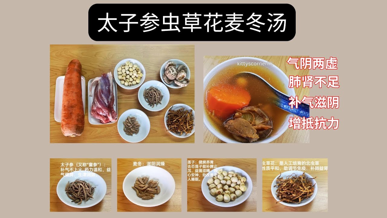 太子參蟲草花麥冬湯|氣陰兩虛/肺腎不足/補氣滋陰/提高抵抗力❤️ Prince Ginseng & Cordyceps Soup (407)
