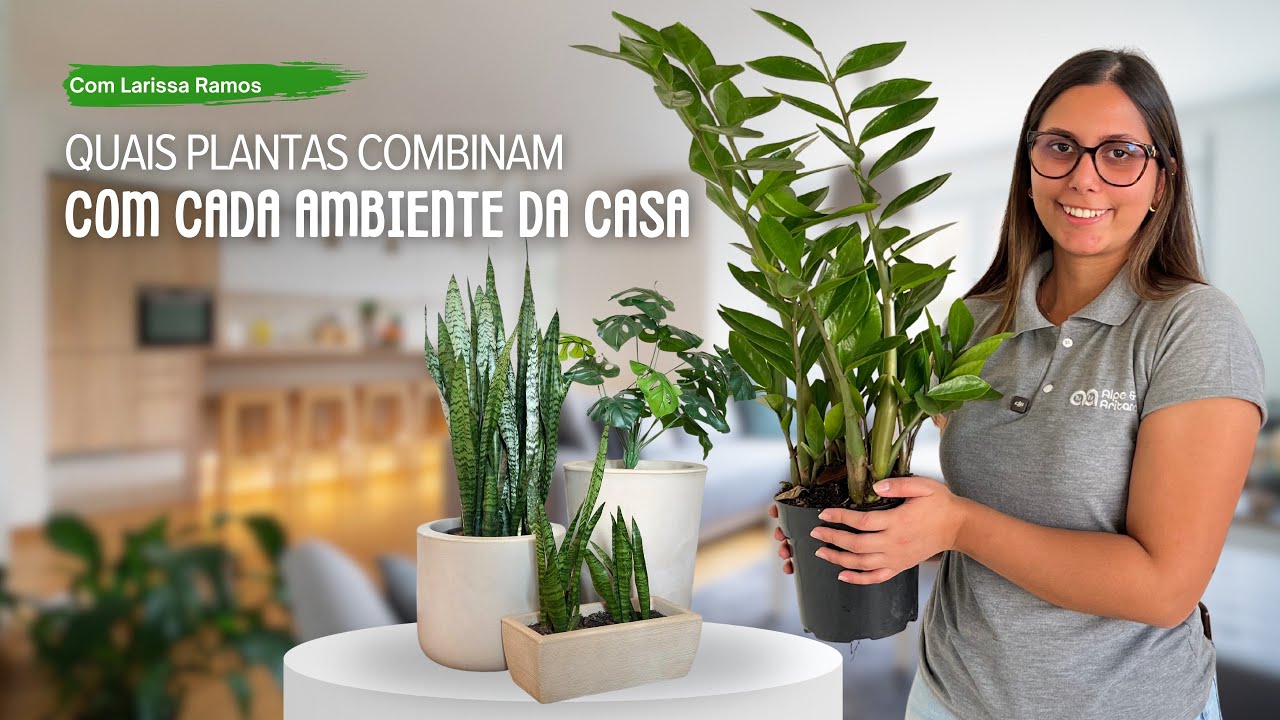 Essas são as MELHORES PLANTAS para CADA CÔMODO da sua CASA | Larissa Ramos