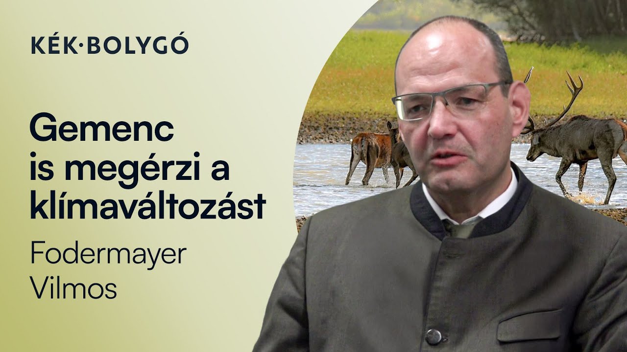 Gemenc is megérzi a klímaváltozást
