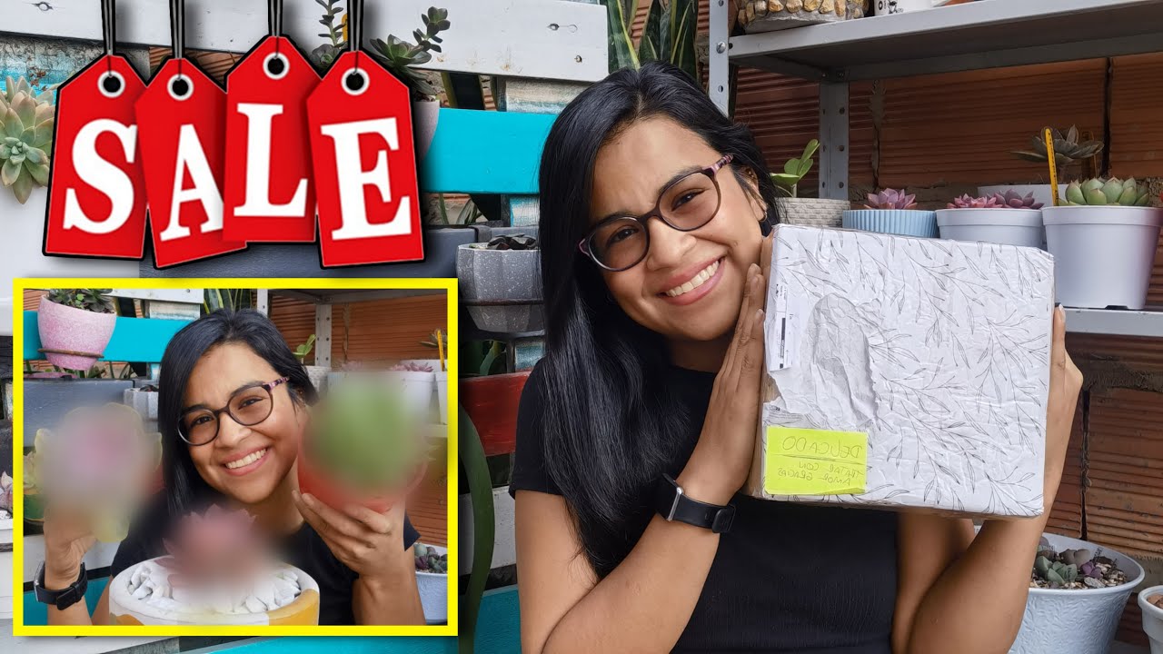 SUCULENTAS EN REMATE 🏷️💸 - Compr&eacute; muchas suculentas IMPORTADAS #1 😳🌱 | Jardines by Angie
