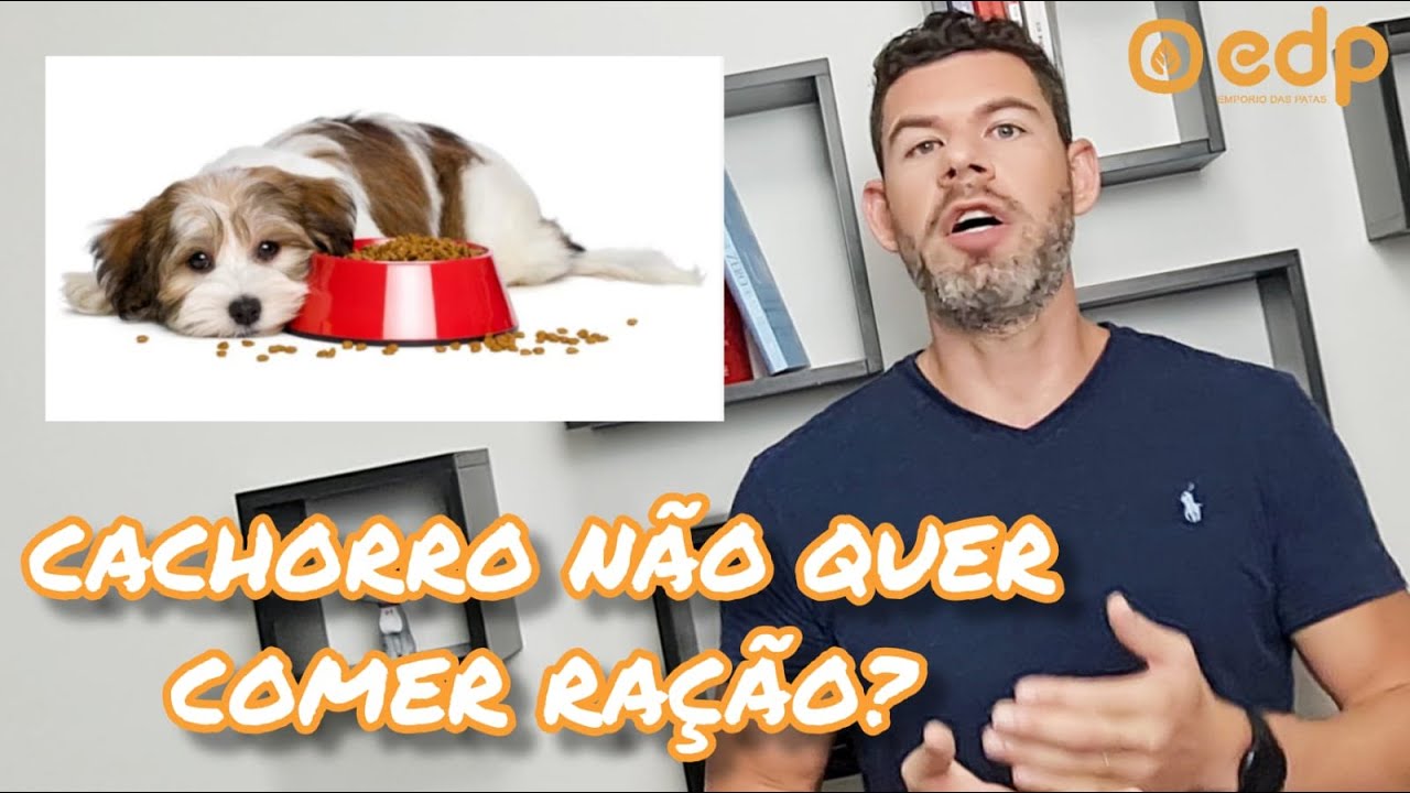 101 | MEU CACHORRO NAO QUER COMER RAÇÃO! O QUE FAZER?