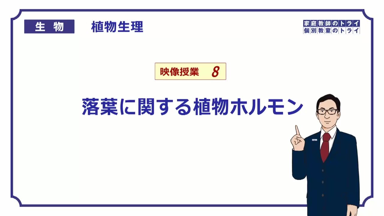【高校生物】　植物生理8　落葉に関連する植物ホルモン（１６分）