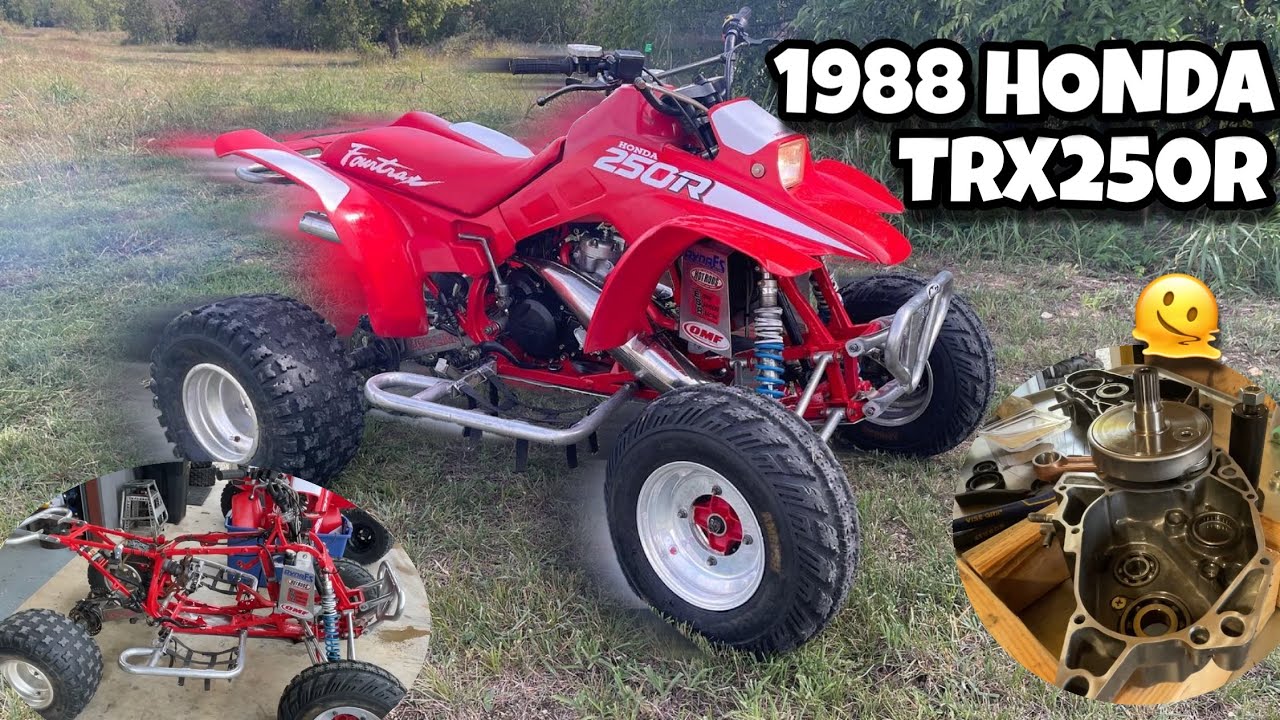 1988 Honda TRX250R