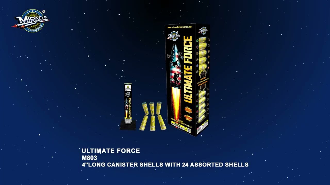 ULTIMATE FORCE(4