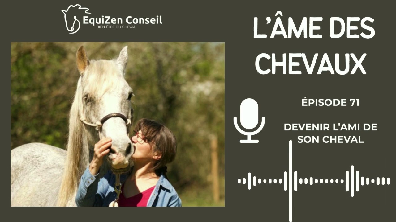 EP71 - Devenir l'ami de son cheval