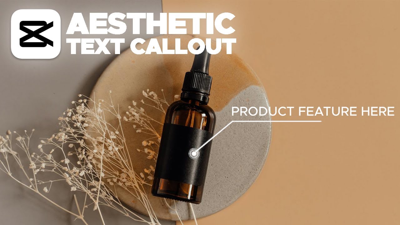 Capcut Tutorial - Animated Text Callout (ENGLISH)