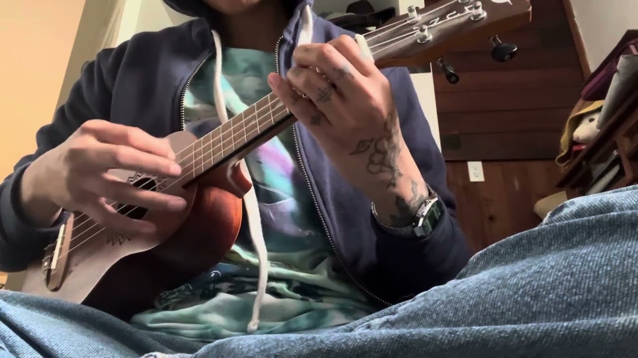 luna 'ukulele instrumental