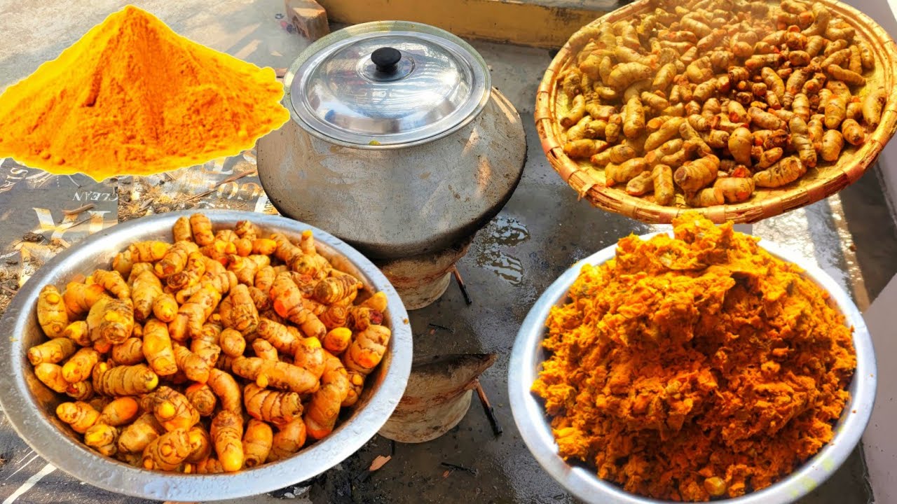 घर पर बनाएं 100% शुद्ध हल्दी पाउडर कच्ची हल्दी से | शुद्ध बनाने का सबसे आसान तरीका | Haldi recipe