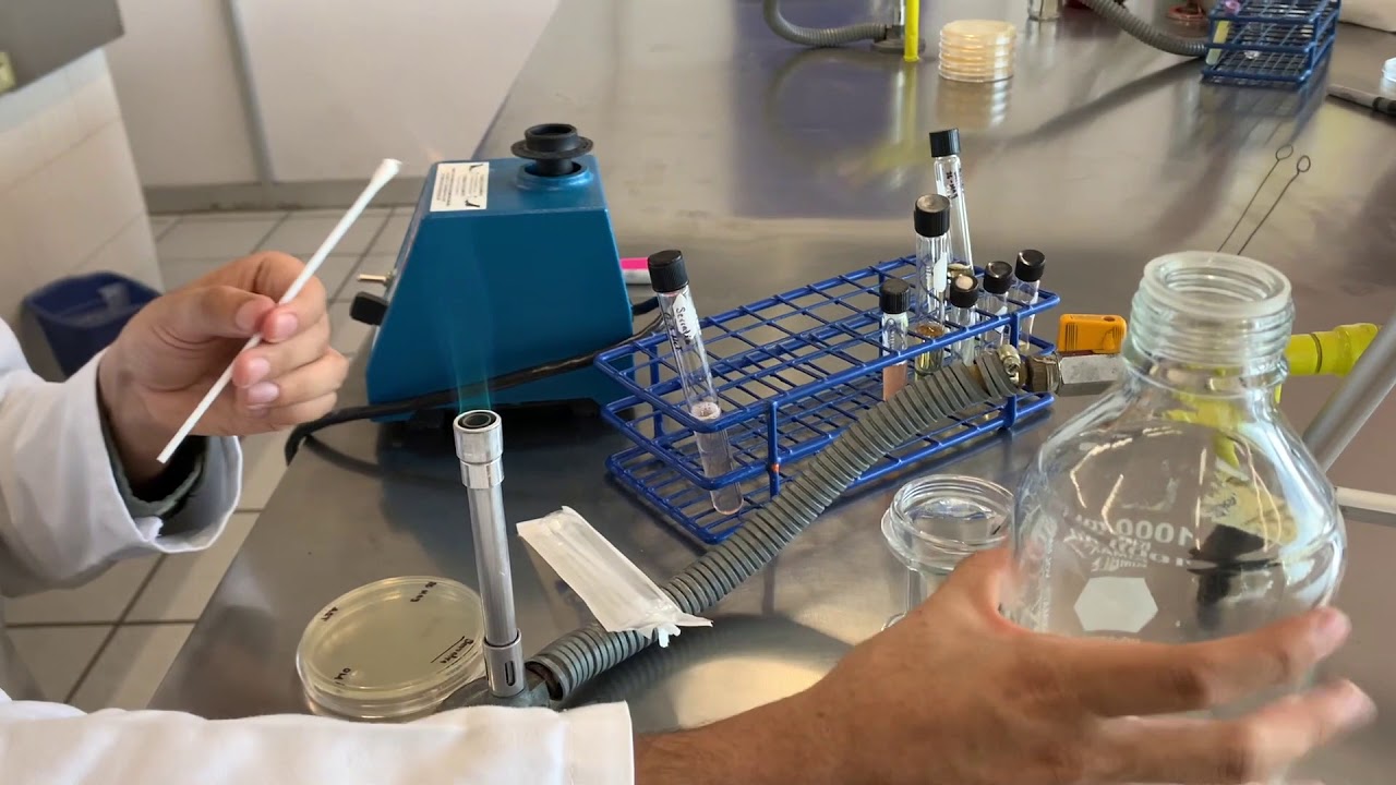 Práctica 2: Técnicas Básicas de Inoculación