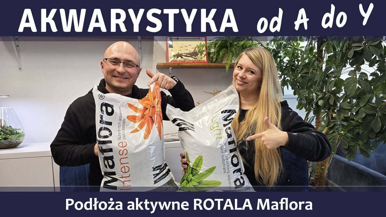 Akwarystyka od A do Y z AQUARAY - podłoża aktywne ROTALA Maflora Light i Intense.