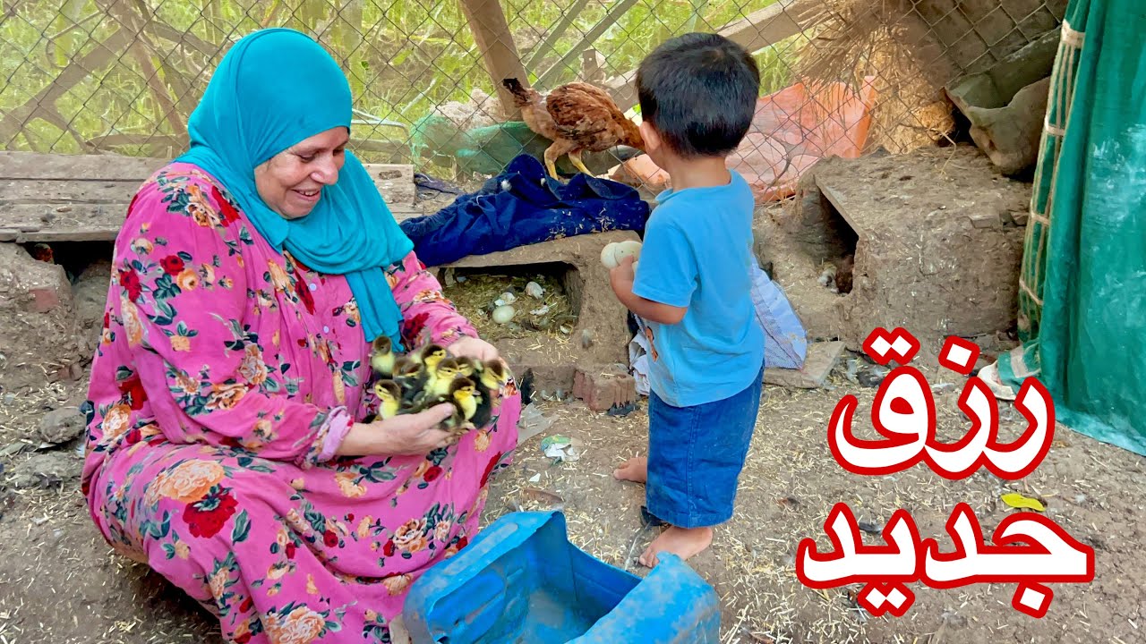 الخير على قدوم الواردين احلى استقبال لبط الخير  الرزق يفرح