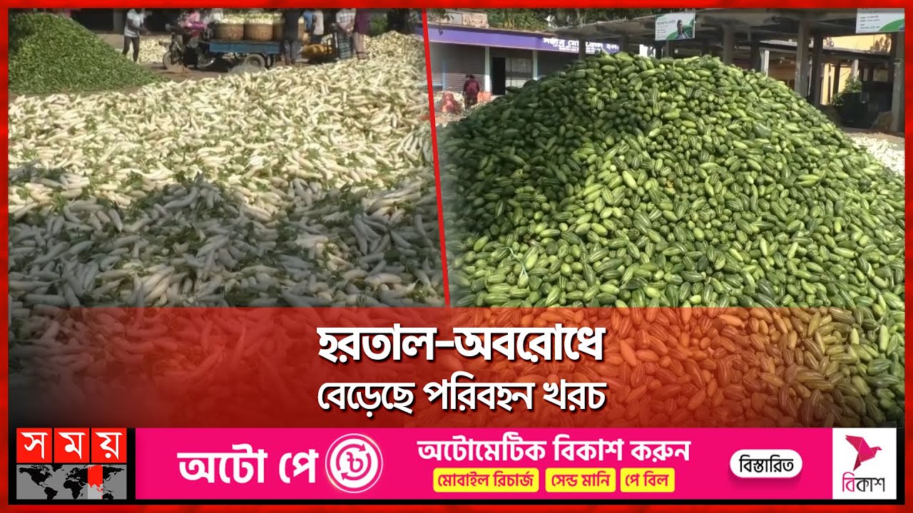 শীতকালীন সবজি বাজারজাত নিয়ে শঙ্কায় কৃষক | Vegetable Price | Jessore | Business News | Somoy TV