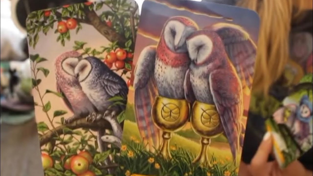 LEO: “WOW! THIS PERSON IS PLANNING TO EXPRESS THEMSELVES”💗🥹FEBRUARY 2023 TAROT LOVE READING