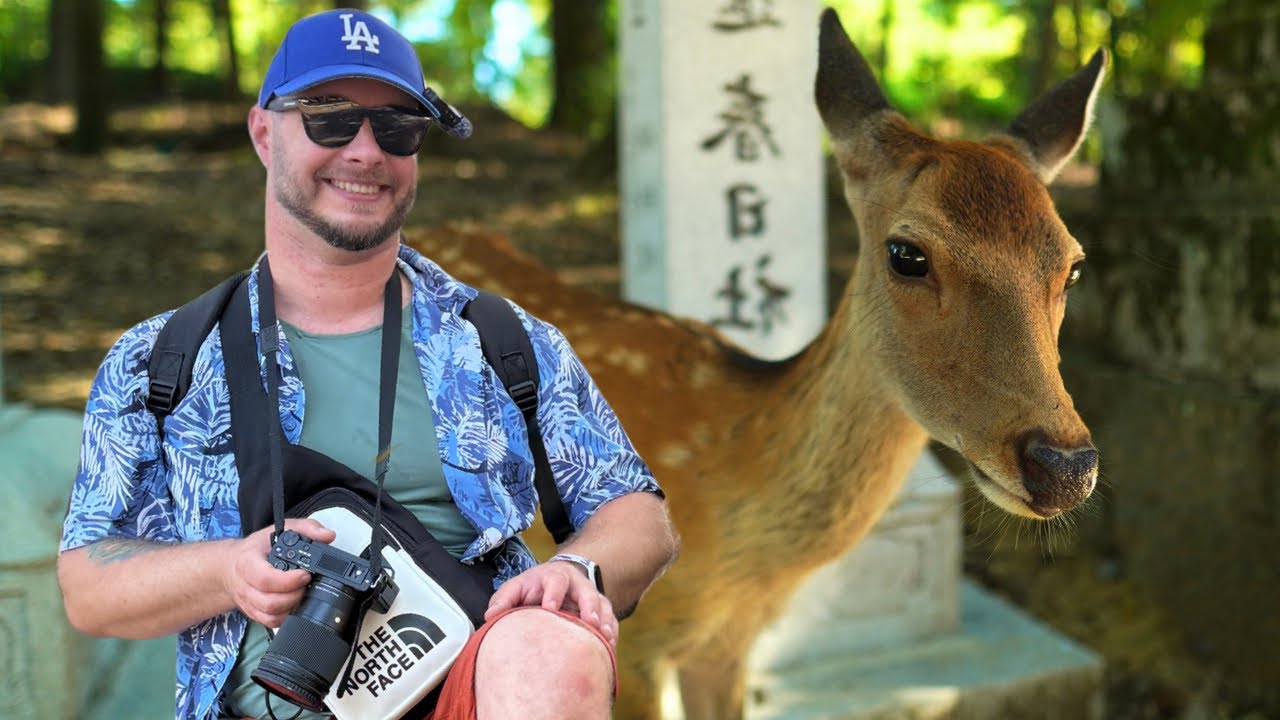 Nara – miasto, w którym jelenie naprawdę atakują?! 🦌😱