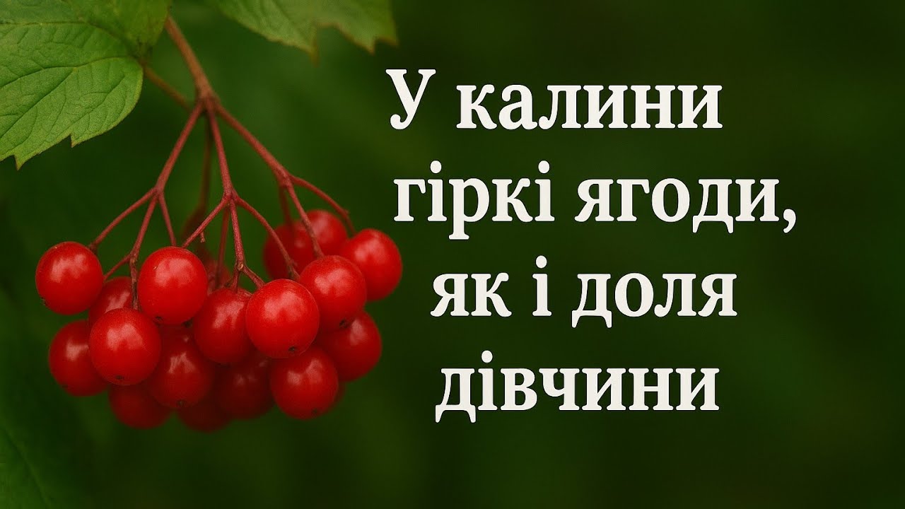 ЦІКАВІ ЛЕГЕНДИ ПРО КАЛИНУ