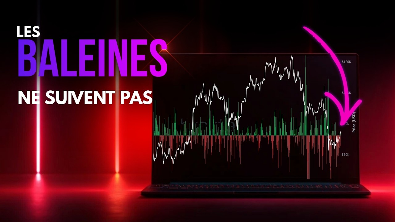 Le signal décisif qui dictera la prochaine tendance du Bitcoin