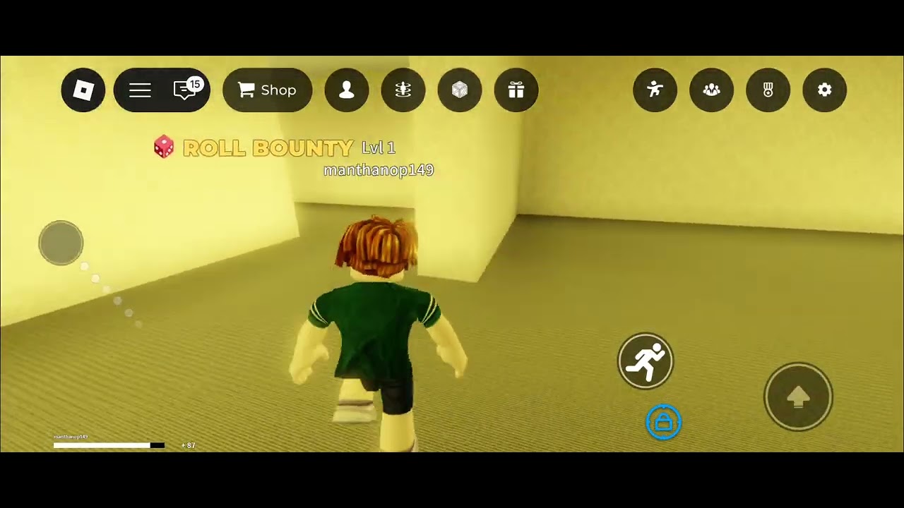 Backgrounds in roblox gameplay 😎😀