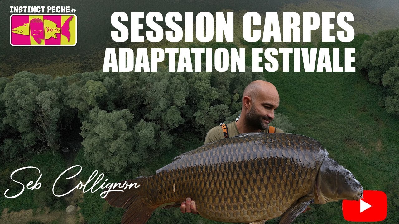 SESSION CARPES 