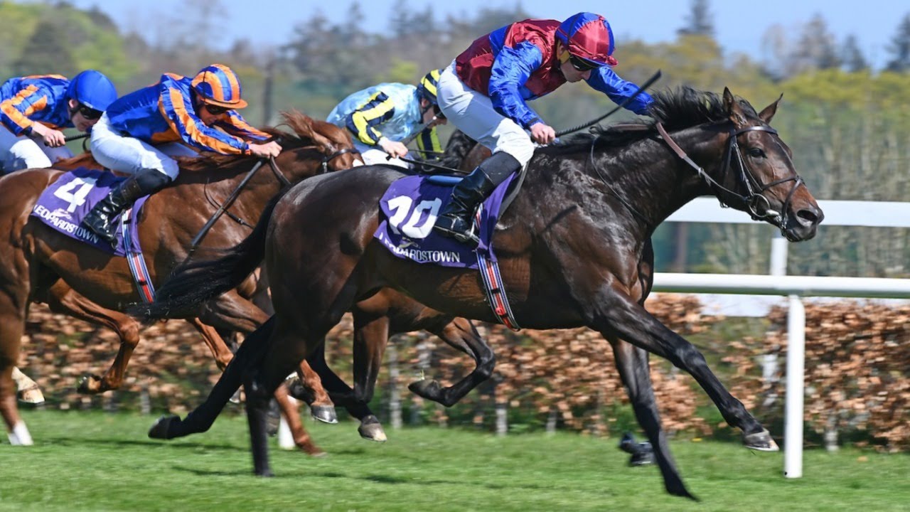 Galileo colt STAY TRUE makes winning start at Leopardstown