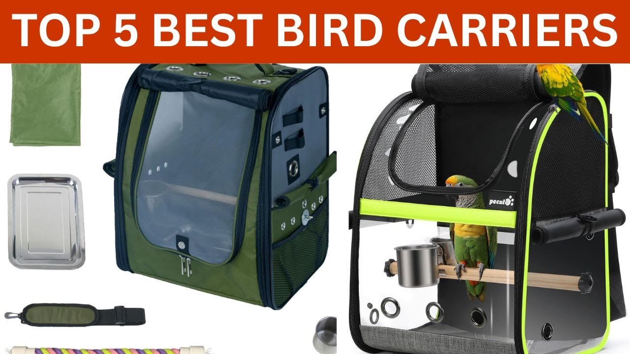 Top 5 Best Bird Carriers | Best Travel Bird Cage & Backpack for Parrots, Lovebirds, Cockatiels