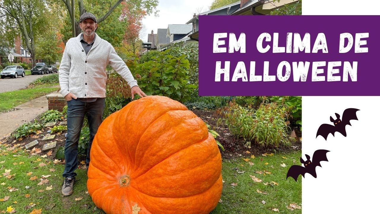 Tour para ver Decoração de Halloween