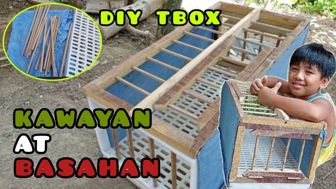 DIY BAMBOO TRAINING BOX🤣🤣👍🏼👍🏼 HOW TO MAKE PIGEON TRAINING BOX ❤️🕊️