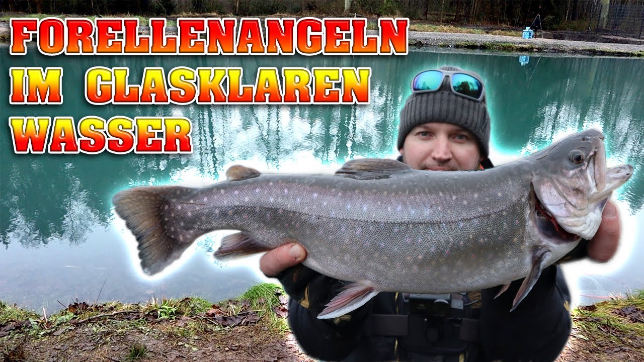 Forellenangeln im glasklarem Wasser | Angelpark Eschede | Forellenangeln im Winter