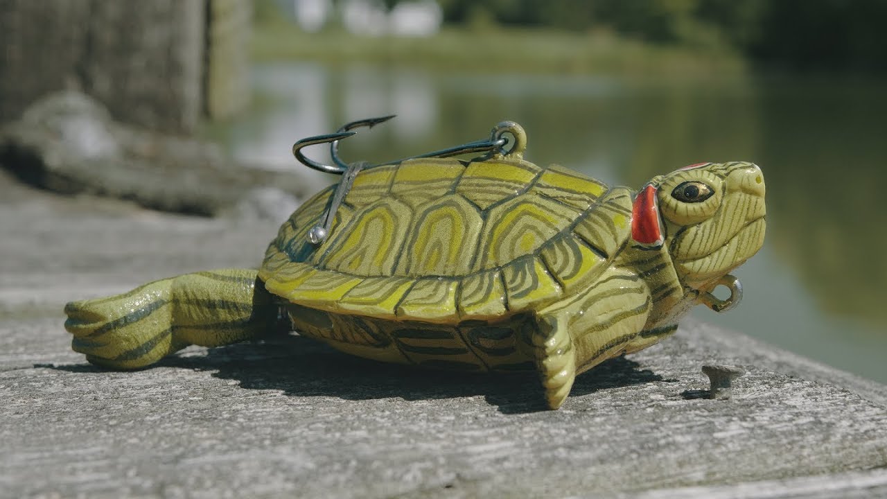 Fishing with a Handmade Turtle Lure!