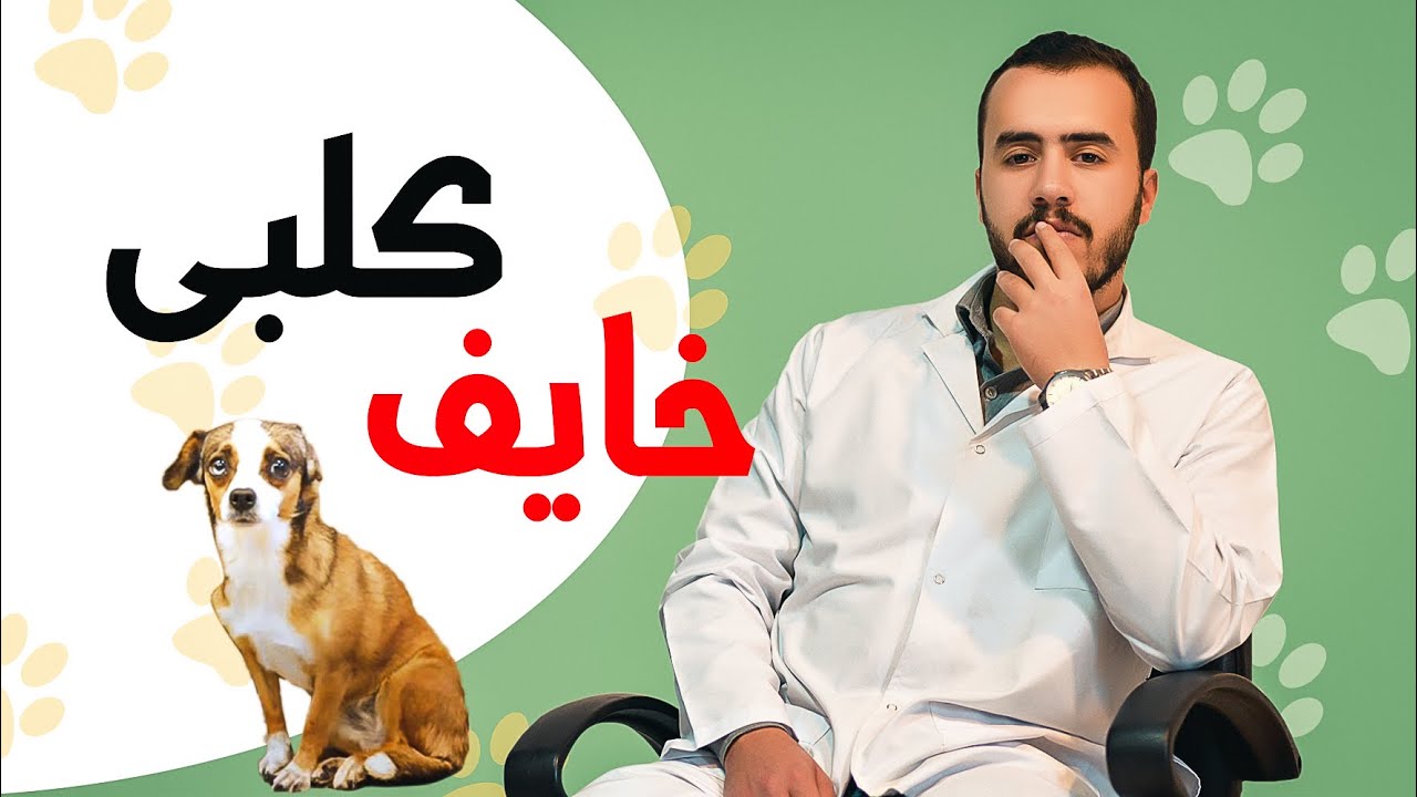((المشاكل السلوكية فى الكلاب الجزء الأول  . (( الكلب طلع بيخاف يا دكتور