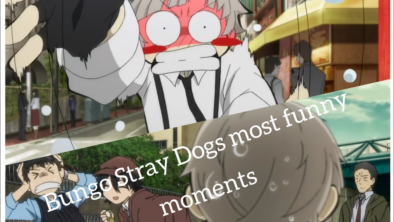 Hilarious Bungou Stray Dogs English Dub Moments That Will Make You Laugh Nonstop!