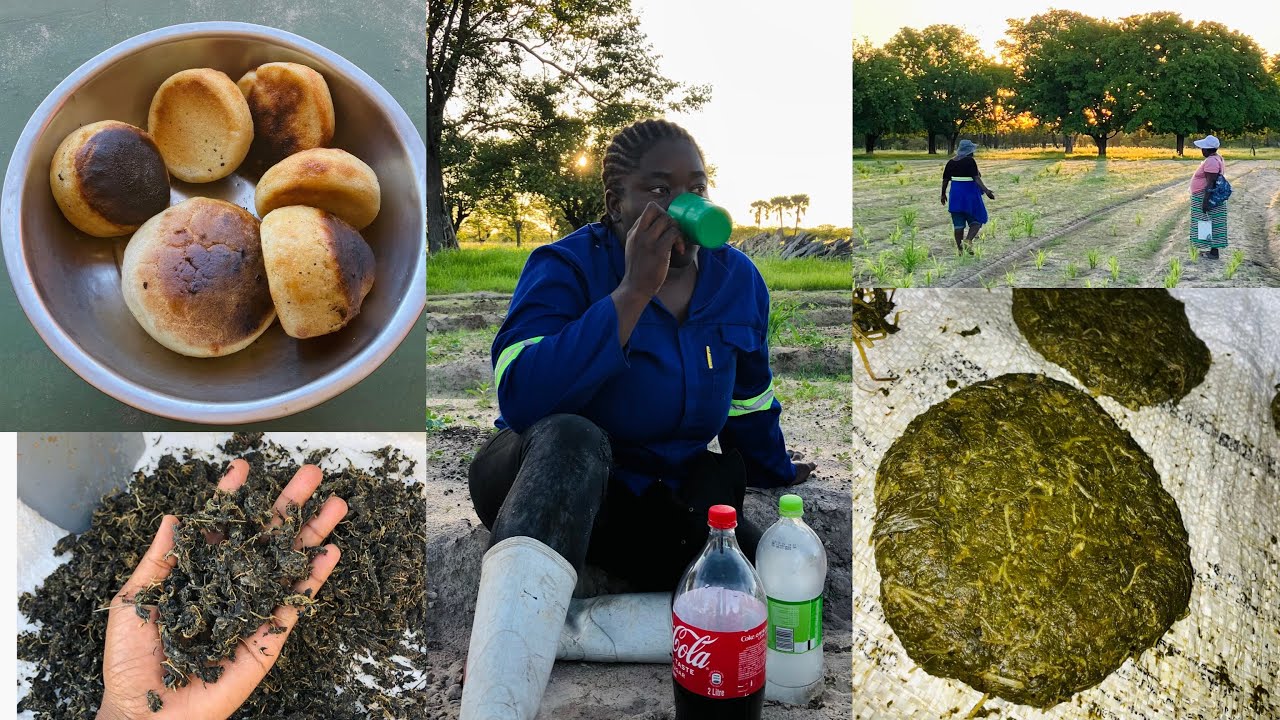 Проведите день со мной | Учимся готовить эханда/сухой шпинат | #жизньвафриканскойдеревне