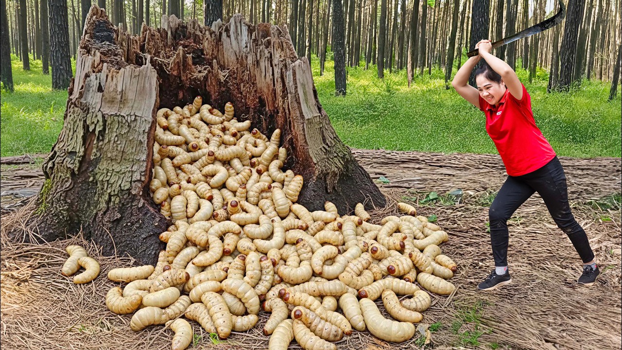 Harvest 1000+ Palm Weevil & Go to Market Sell | 99 Days From Egg to Survivor  | off the grid