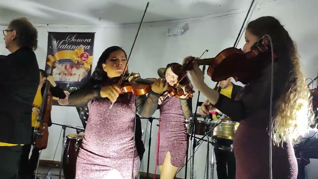 Medellín Charanga - Salud, dinero y amor