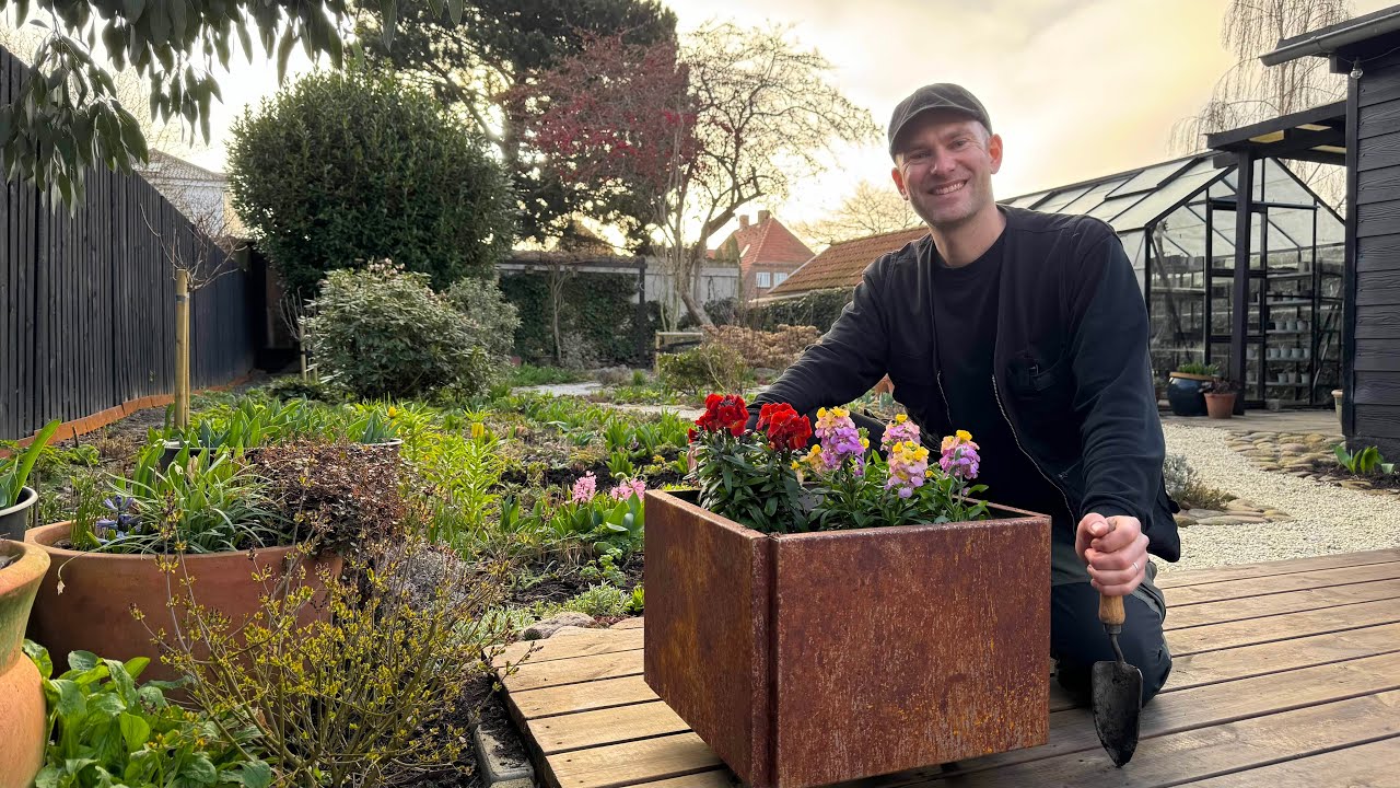 Signs of Spring | Planting Hydrangea, Wallflower Cuttings + Seedlings Update | Perennial Garden