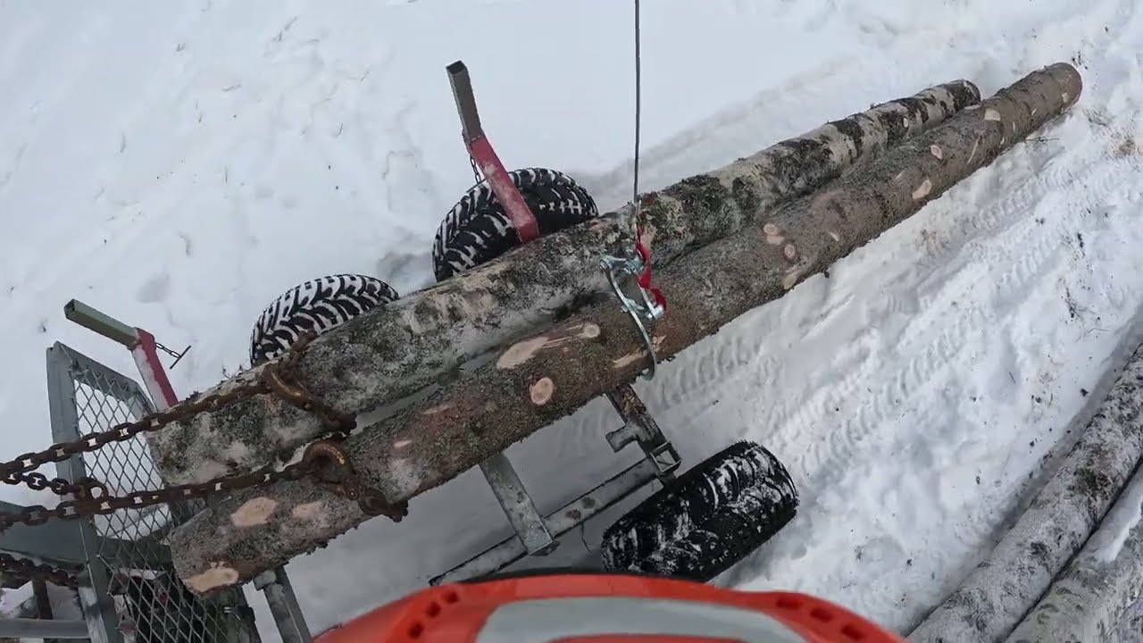 Suomenhevonen ja vinssin testaus.