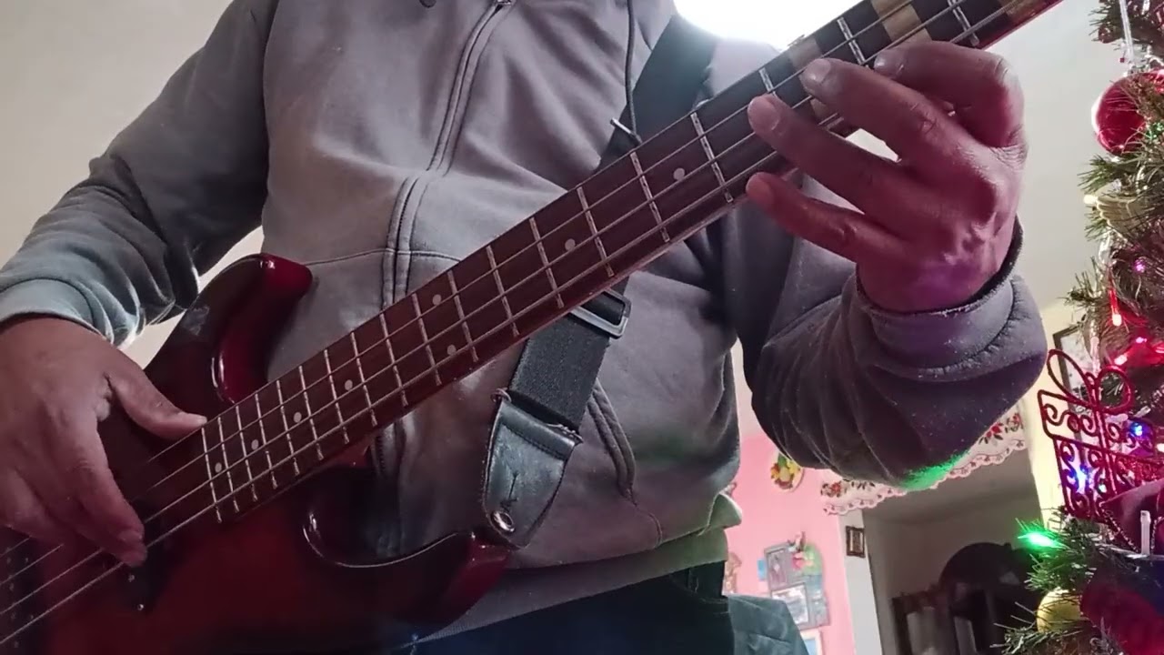 Cazador de asesinos cover bass