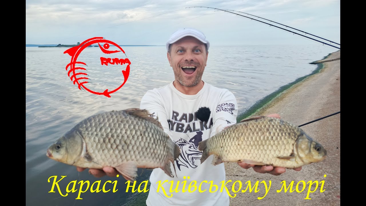 Карасі на київському морі