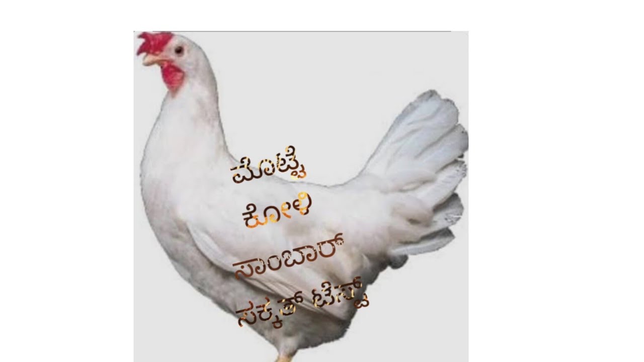 ಮೊಟ್ಟೆ ಕೋಳಿ ಸಾಂಬಾರ್ ಸೂಪರೋ ಸೂಪರ್