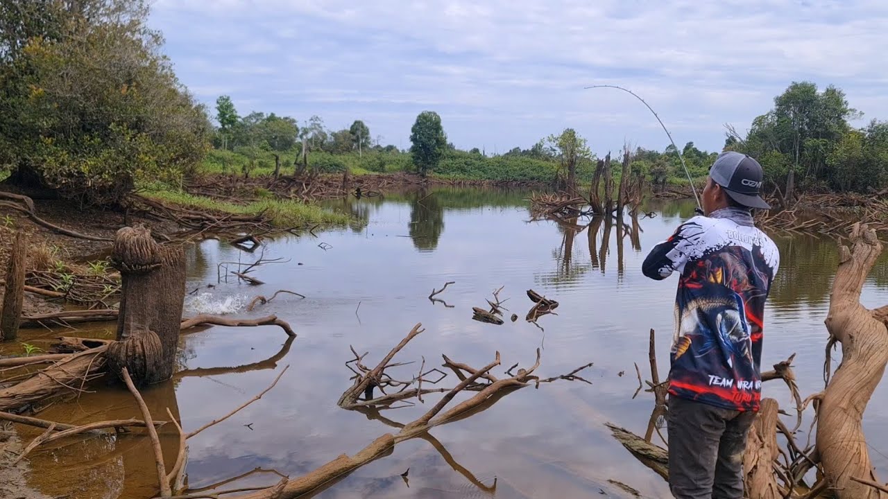Mengadu Nasib.! Casting Ikan Gabus Di Danau Yang Hampir Kering