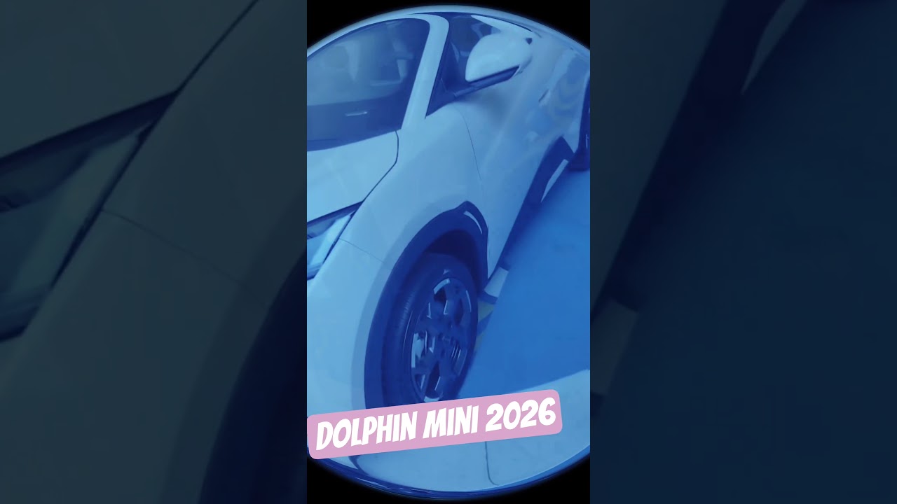 El dolphin mini 2026 ahora para 5 paajeros. cámara 360 , color rosa
