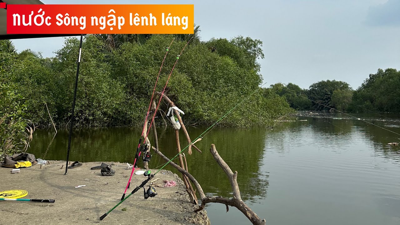 ✅ Lâu lâu đi câu cá Sông Sài Gòn mà mấy anh điện thủ quá thể | DUY FISHING SAI GON