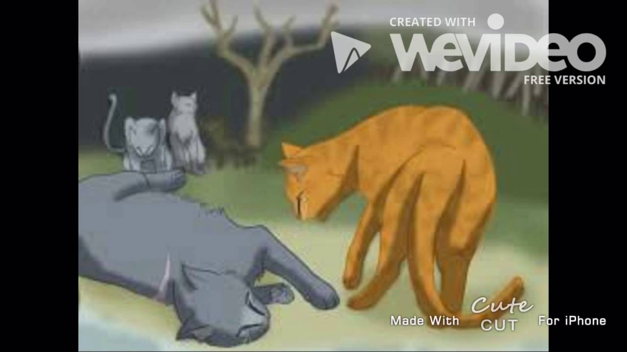 Bluestar's Death (Fireheart's POV)