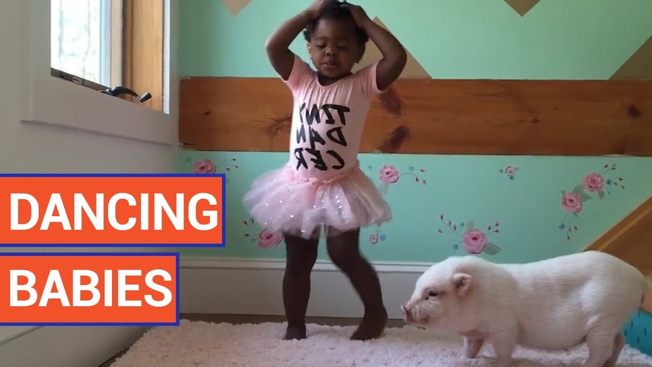 Adorable Dancing Babies Video Compilation 2016