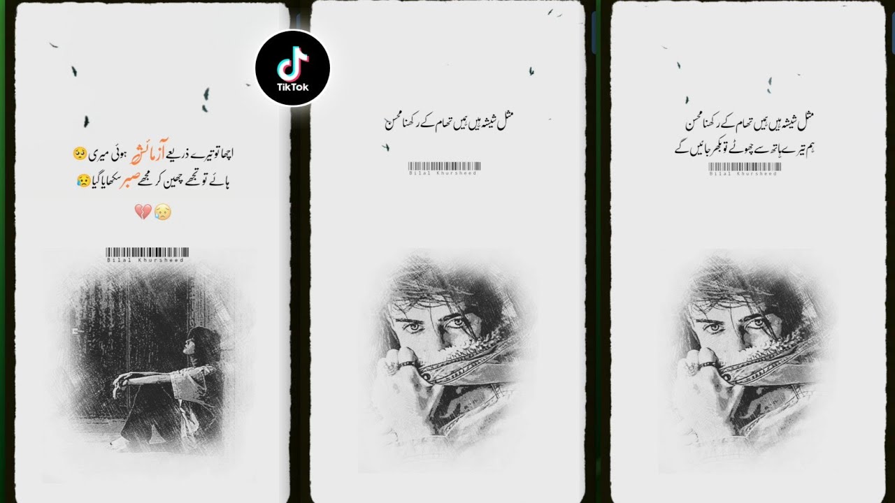 How To Make Aesthetic Urdu Reels | Trending Urdu Shayari Reels | Viral Reel Editing InShot 