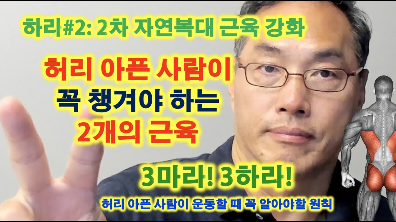 허리 아픈 사람이 꼭 챙겨야 할 2개의 근육 - 하라#2. 2차 자연복대 근육 강화