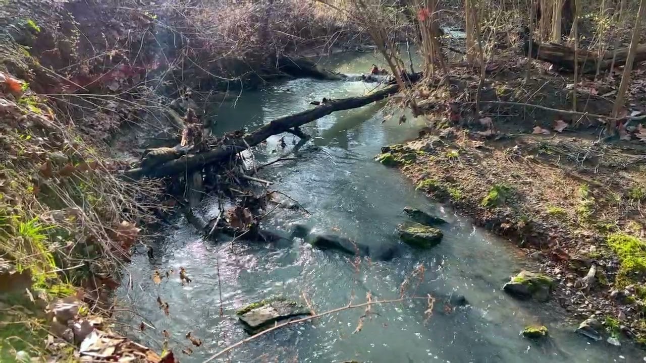 Sidecut Metropark