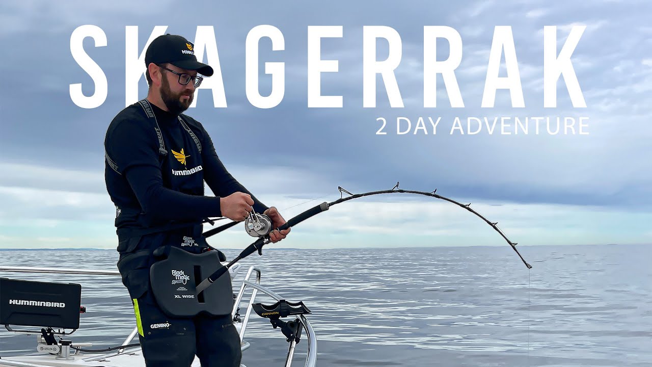 Skagerrak 2 Day Adventure: Part Two - Greenland Shark