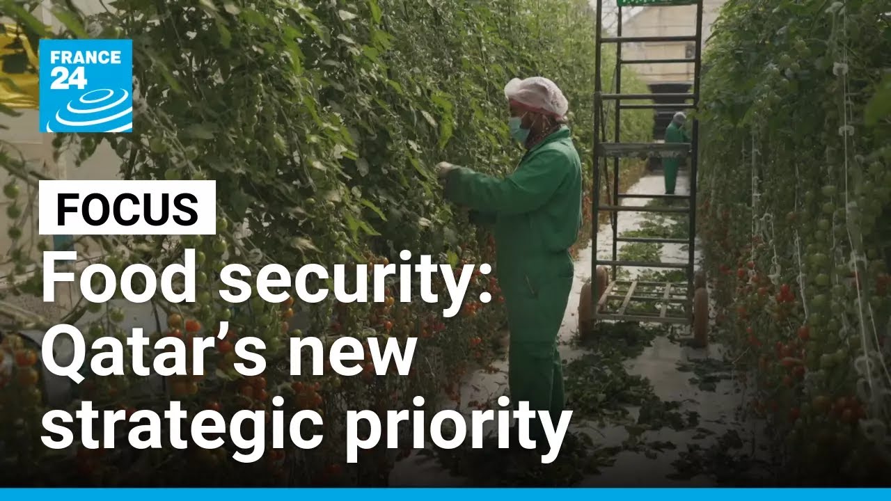 Qatar turns to desert farming to boost food security • FRANCE 24 English